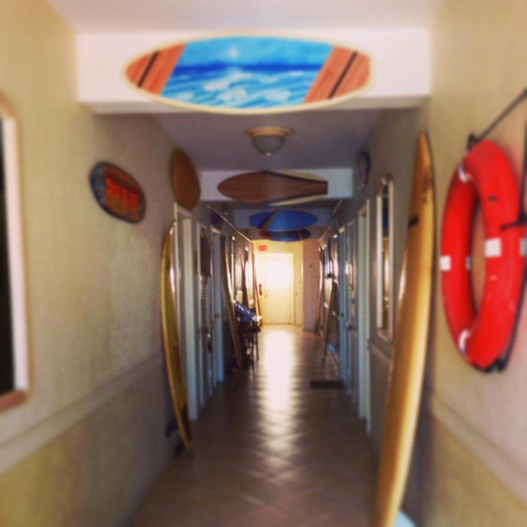 Surf Inn Hotel Hollywood Rom bilde
